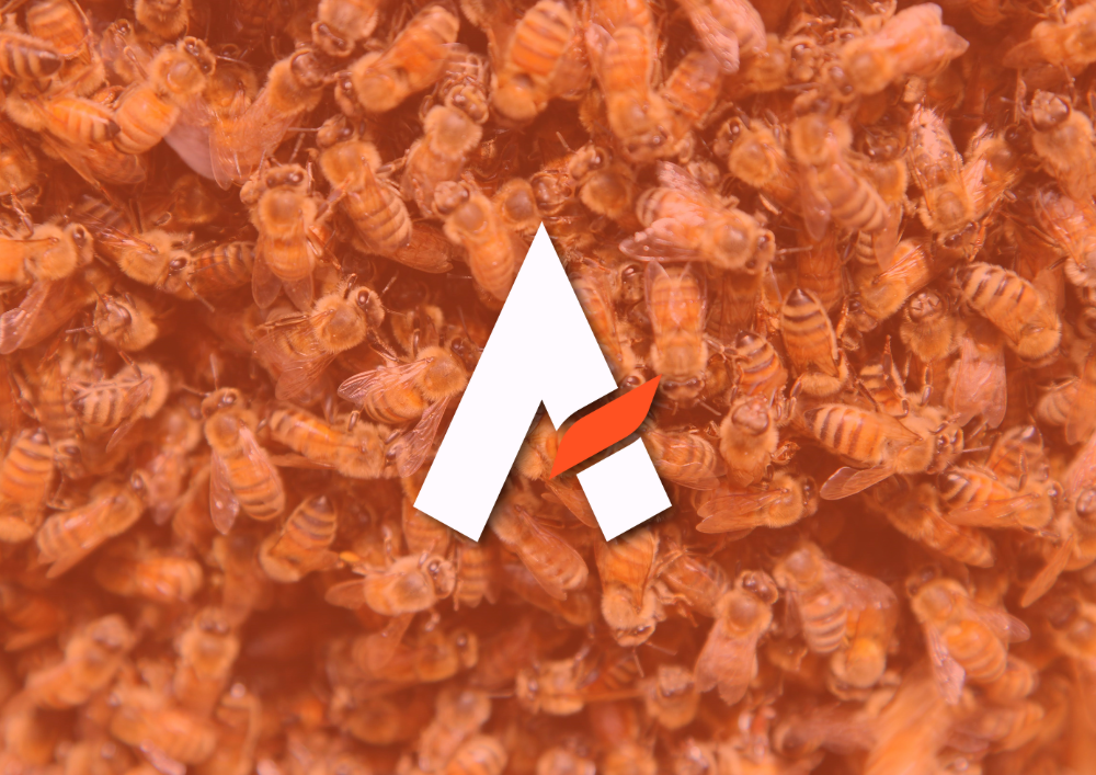 Aurora: Powering the Era of Collective Intelligence